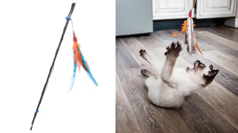 Feather Teaser
