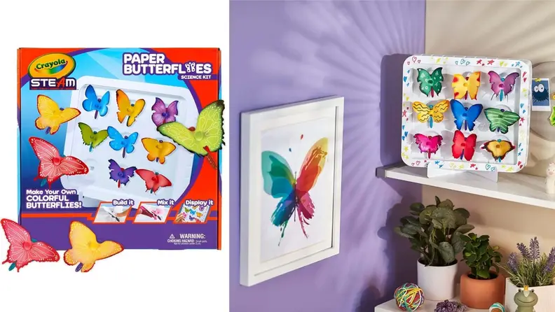 Children's butterfly science kit.
