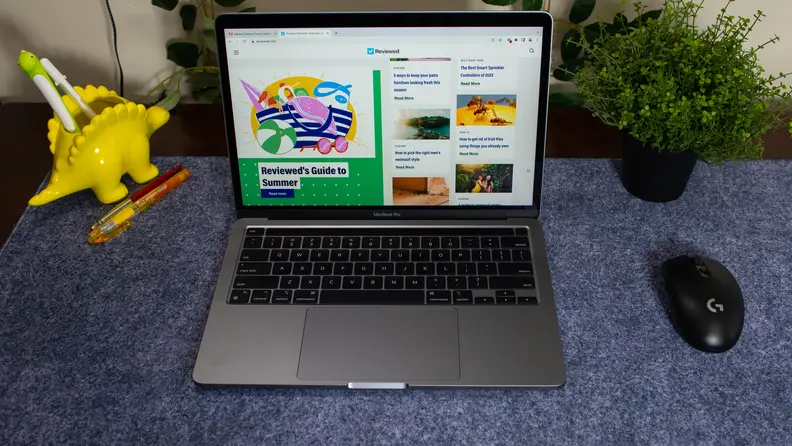 The laptop shares a desk with a dinosaur pencil holder, mouse, and plant.