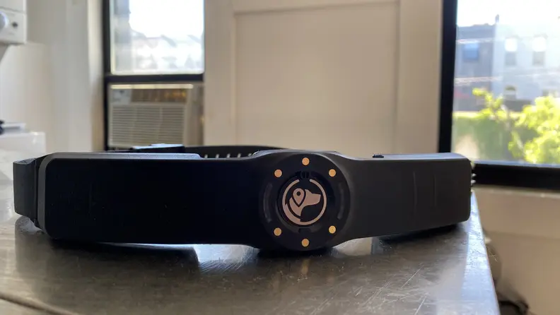 Black SpotOn GPS collar sitting on a grey counter in front of two windows.