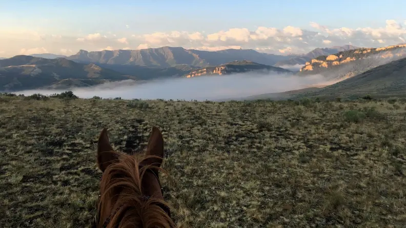 A horse facing a foggy mountain