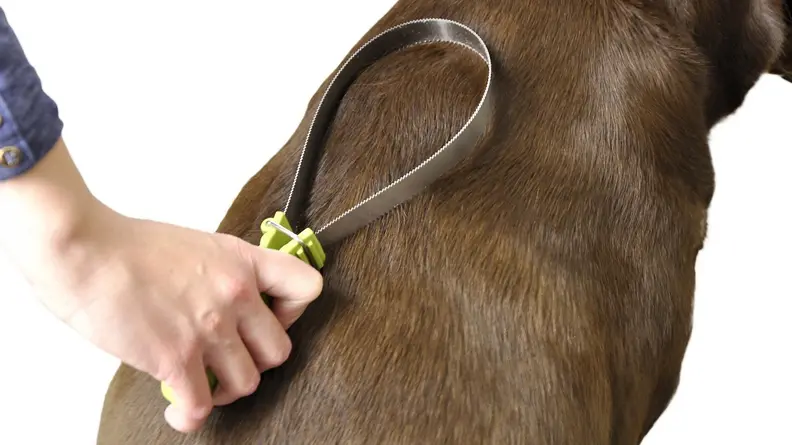 This metal brush is quick and easy to use, pulling up loose hair and smoothing your dog's coat.