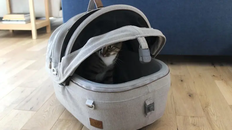 The Tavo Maeve Pet Car Seat on the floor with a cat inside.