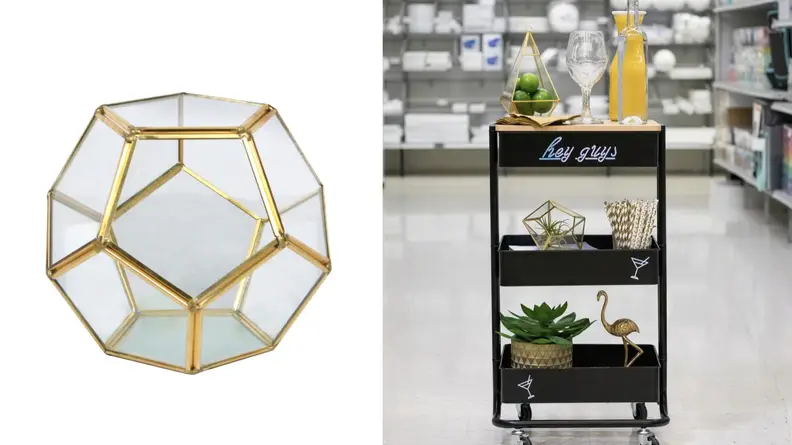 Terrarium