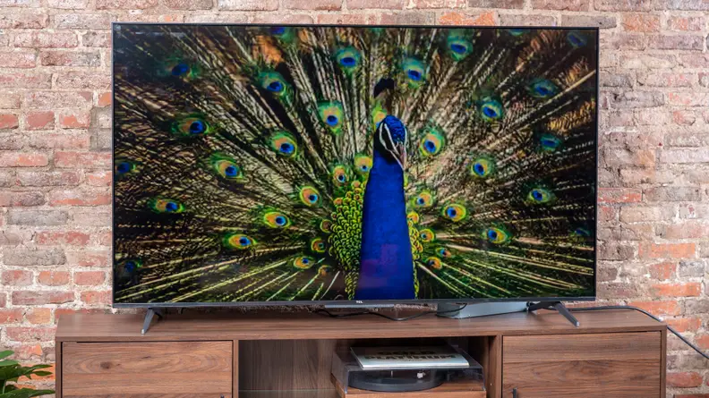 The TCL 5-Series with Google TV displaying 4K/HDR content in a living room setting
