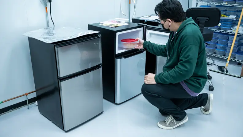 A man crouches by a mini fridge in the Reviewed labs, putting a container into the freezer portion of a mini fridge.