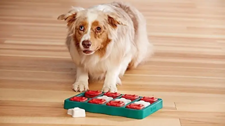 plastic puzzle toy
