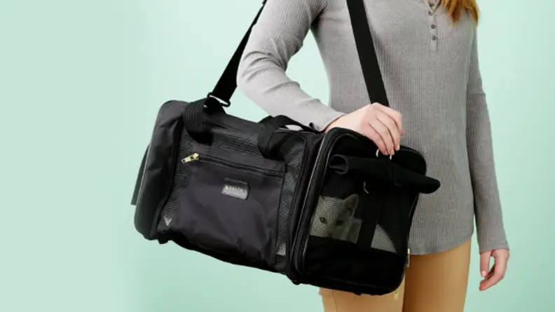 Someone holds a soft carrier with a cat inside