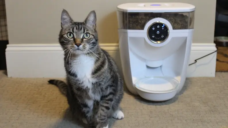 The Feeder-Robot is a well-designed product, but it may be too costly for some pet parents.