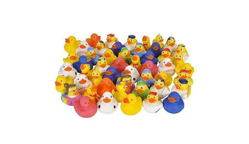 Ducks