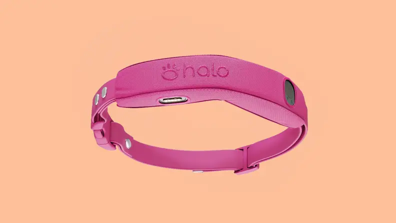 A pink Halo 5 dog leash on a peach background