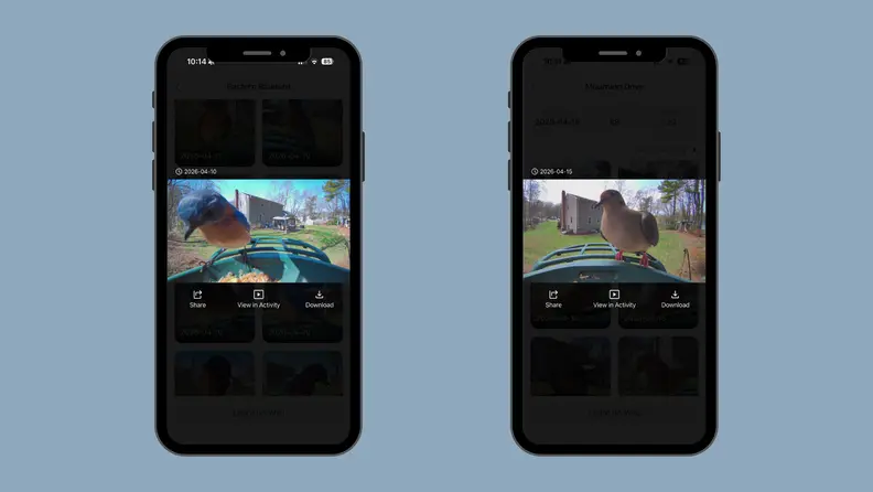 Two iPhone images showing the camera quality of the Kiwibit Bird Feeder 2 on a blue background.