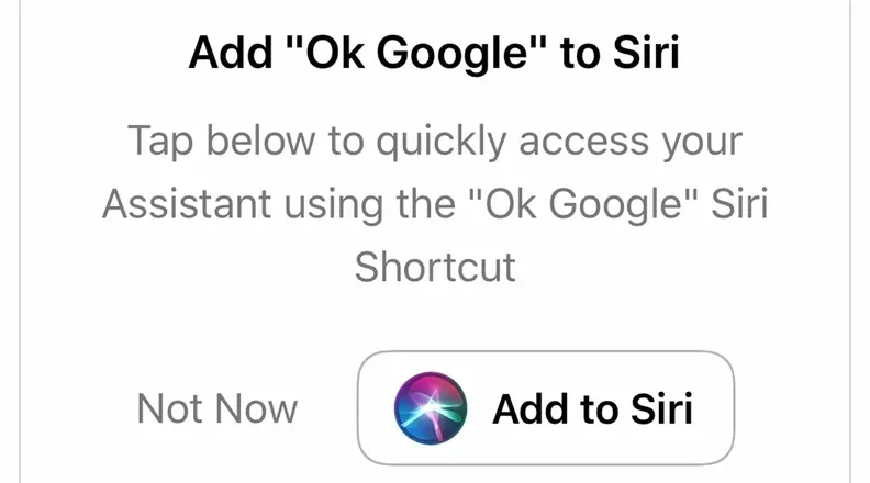 Screenshot of Google Assistant App