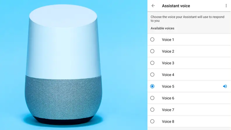 Google Home Voice Options