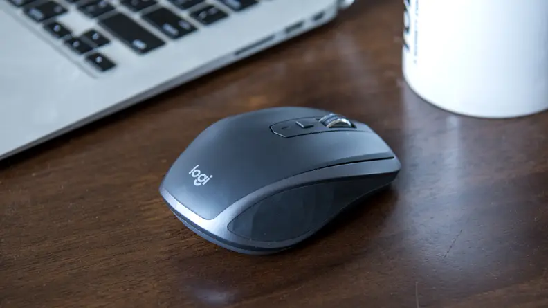 Mouse