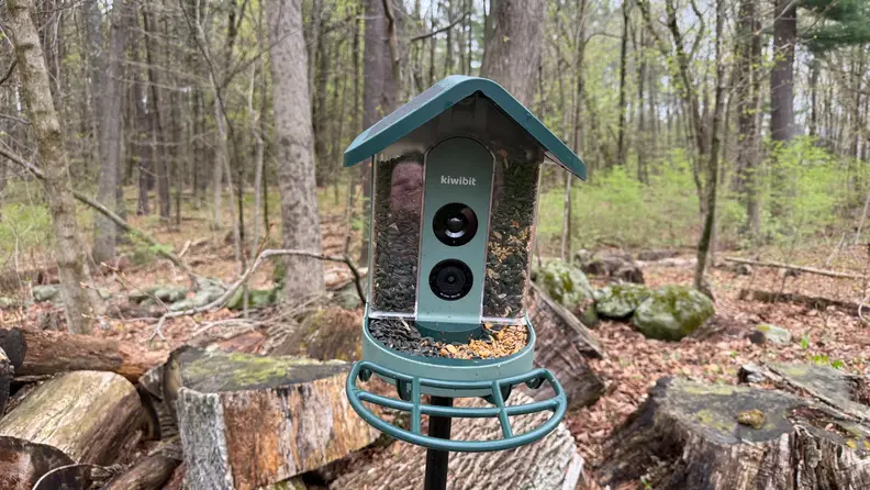 A bird feeder with a camera sits on a mounting pole