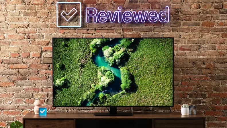 Samsung Q80B TV in front of brick wall with rainforest on screen.