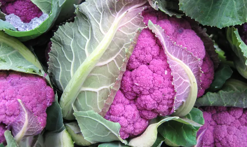 Pegan Diet