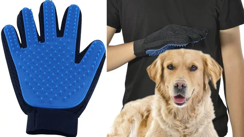 You can multi-task by petting your dog and removing loose hair at the same time.