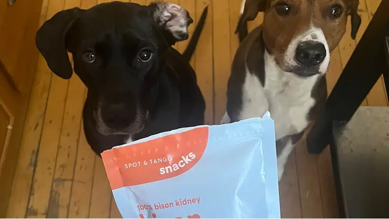 A black dog and a brown and white dog sitting on a floor looking up at a treat bag