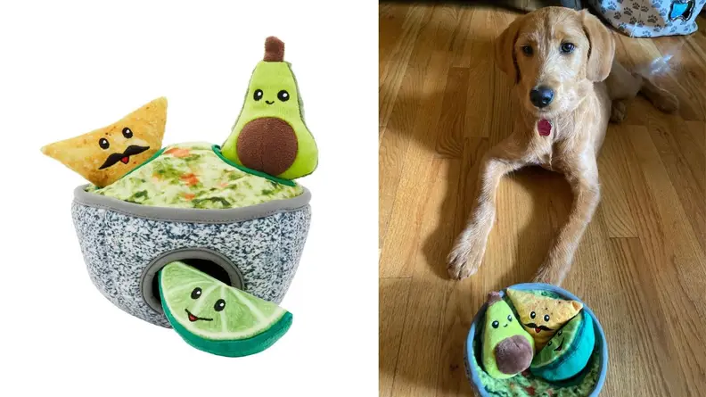 guacamole hide and seek toy
