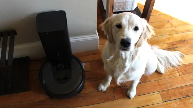 Addy, my dog, and Ruby, my Roomba. One makes the mess, the other cleans it up.