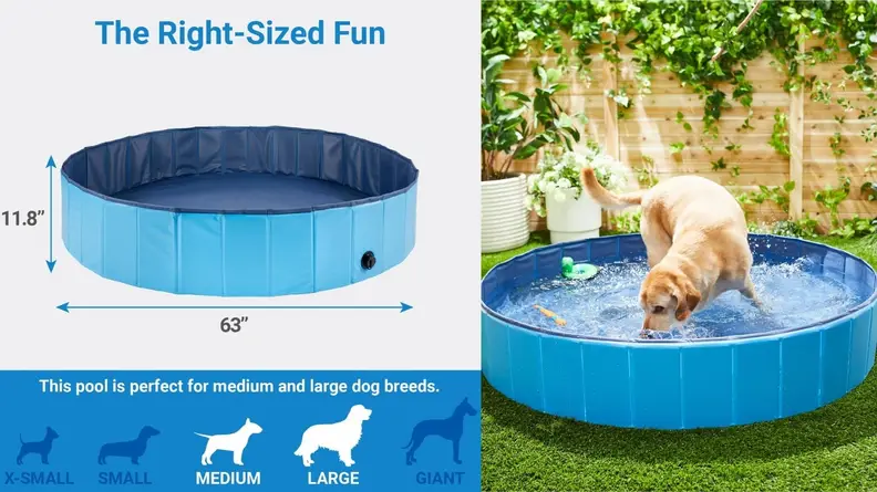 Left: An illustrated diagram indicates which size pool to order based on a dog's size; Left: A golden retriever plays in a filled swimming pool in a fenced backyard