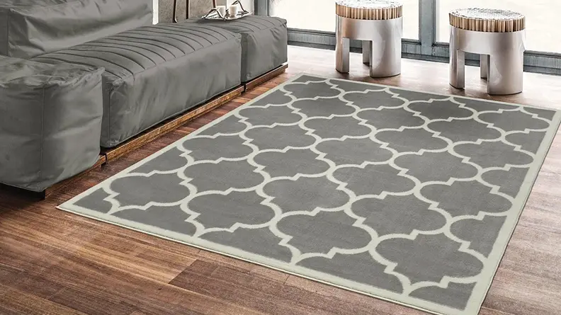 Ottomanson Paterson Collection Rug