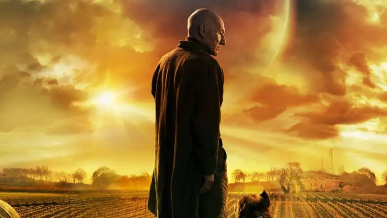 A man stands before a vibrant yellow sky.