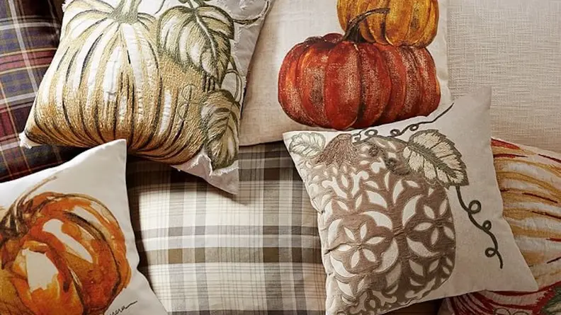 Pottery Barn Pumpkin Pillow Cover