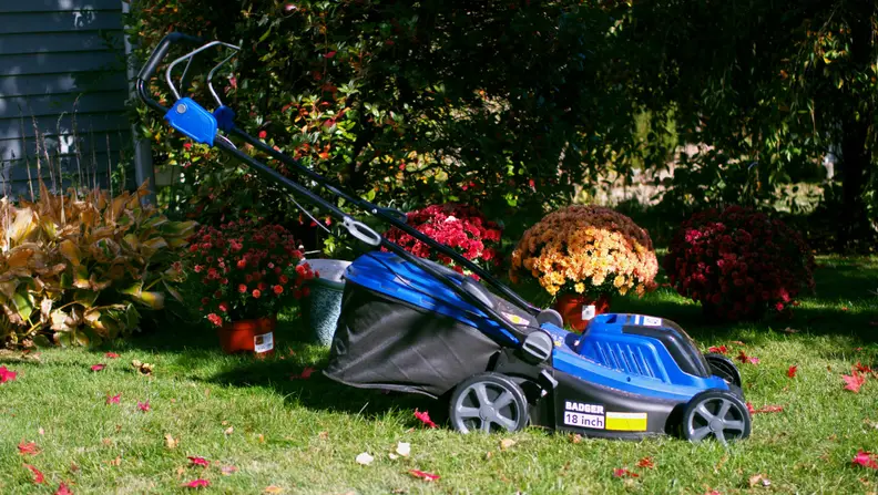 A blue lawn mower sits in a grassy spot