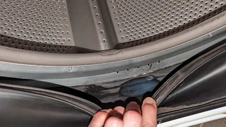 A washing machine gasket pulled aside to reveal moisture and soap scum, a perfect home for smell causing mildew