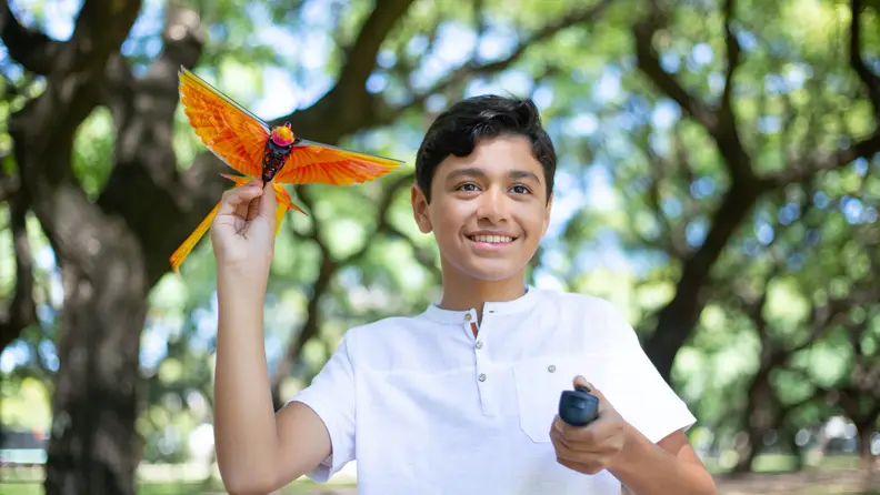 Gogo Bird drone toy.