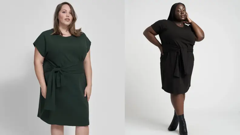 Universal Standard dress