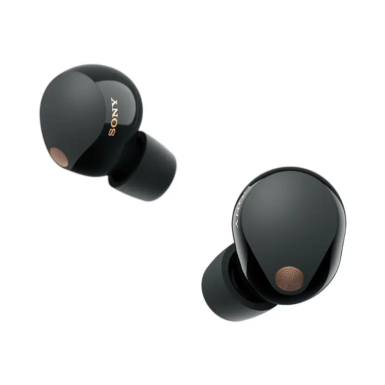 Pair of earbuds
