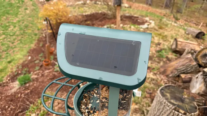 Solar-powered roof on the green Kiwibit Bird Feeder 2 with leaves and grass in the background.