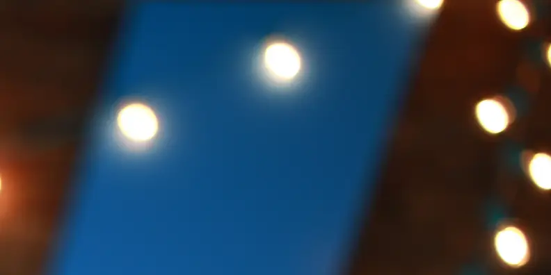 A sample crop of bokeh shot with the Canon EF-S 24mm f/2.8.