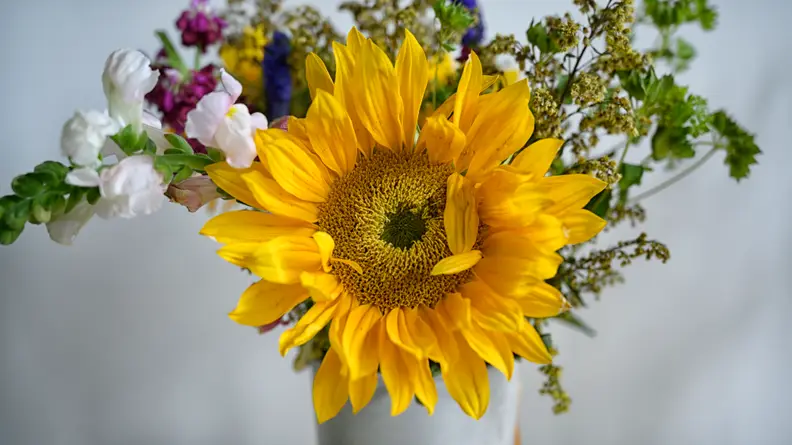 The flowers that had the baking soda and salt added to their water were still perky after 10 days.
