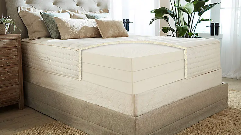 PlushBeds