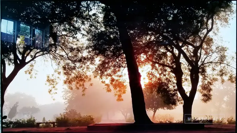 LG C8 OLED TV Review