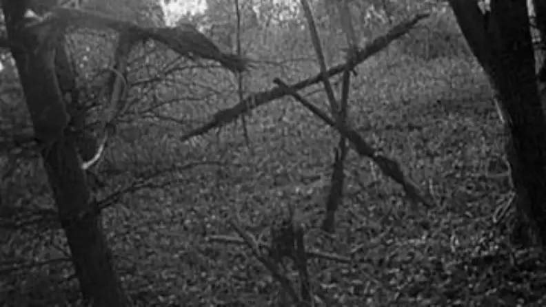 The Blair Witch Project does a lot with very little.