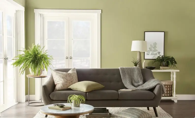 A living room with walls painted in Behr Back to Nature