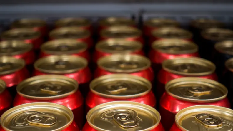 Cans lined up in a refrigerator