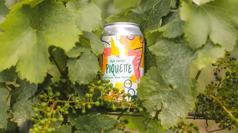 Can of Skin-Contact piquette wine on branch surrounded by leafy greens.