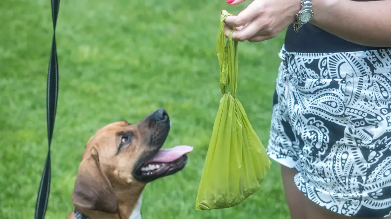 Pogi's Poop Bags with Easy-Tie Handles