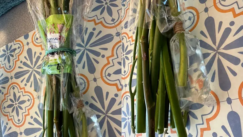 On the left, a bag of flower food tied to a bouquet. On the right, one of the bouquet stems with a plastic bag of water tied around it.