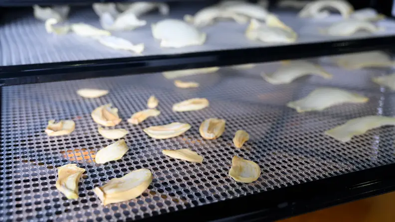 Homemade apple chips arranged on a tray that fits in a dehydrator.