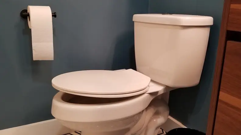 A bidet seat on an elongated toilet