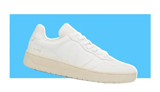 A white sneaker.