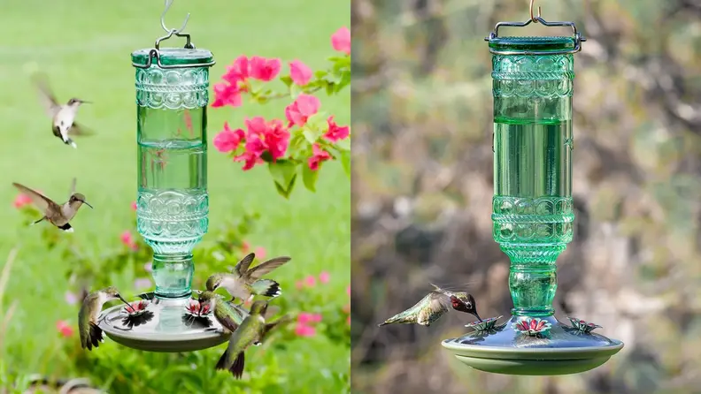 Hummingbird Feeder